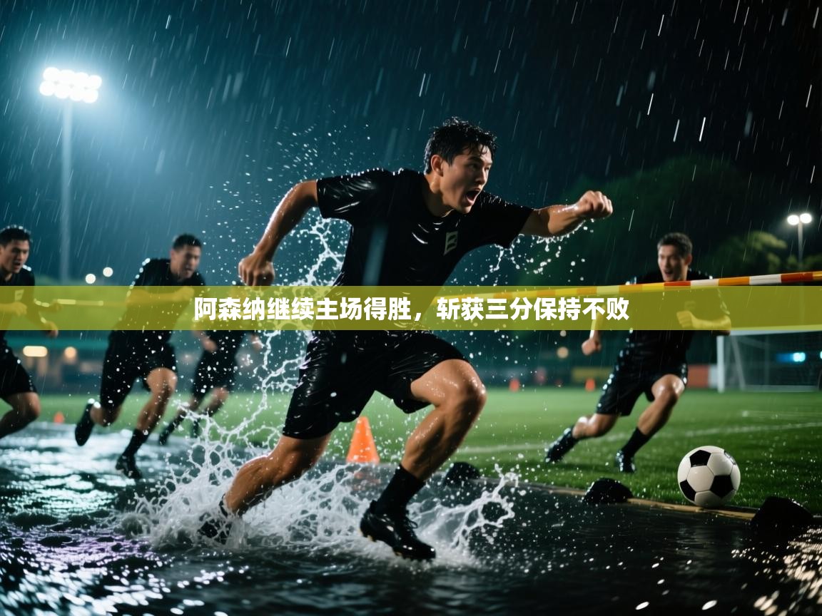 阿森纳继续主场得胜,斩获三分保持不败 第2张