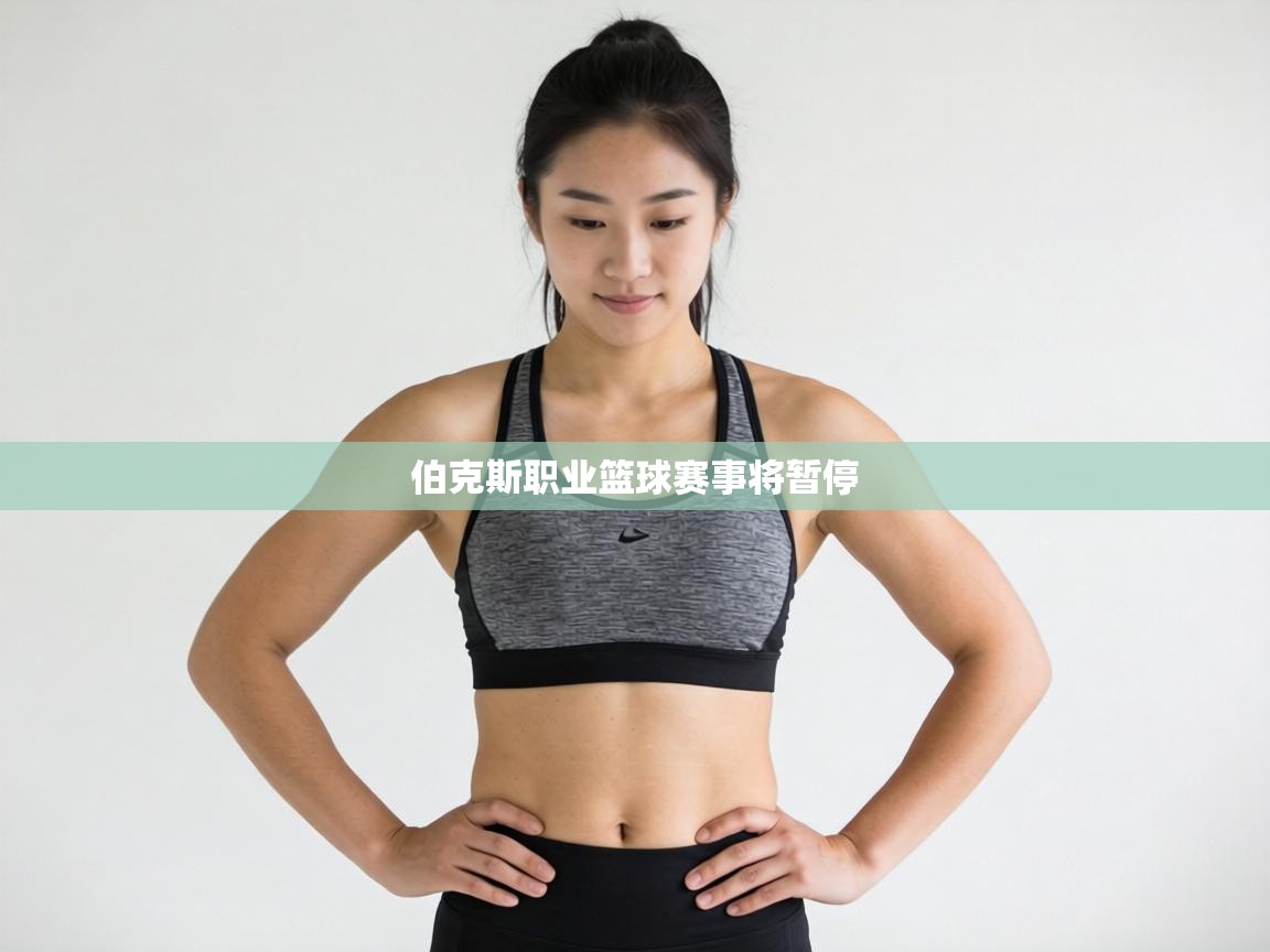 伯克斯职业篮球赛事将暂停 第2张